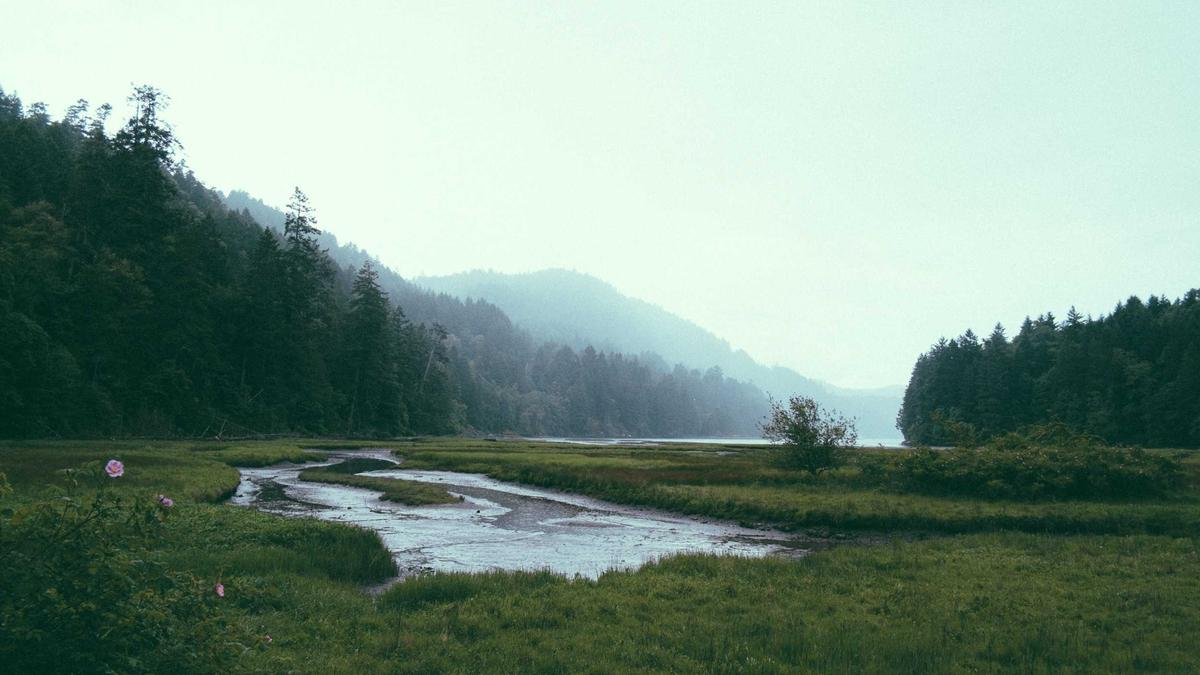 行业风向 | 苹果涨价引山姆代购潮；DeepSeek大规模招聘；黄金再度跌破4000美元