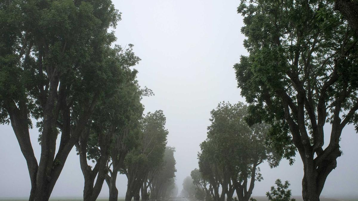 新加坡智能代理AI愿景的落地考验：代码可信赖性至关重要