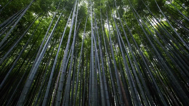 英特尔重磅加码越南：历经政策博弈，半导体巨头投资总额达41亿美元