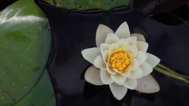 Danantara印尼启动巴厘岛垃圾焚烧发电项目，引领可持续能源新篇章
